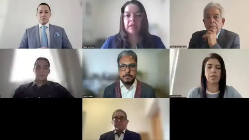 Voces del Exilio plantea condiciones para un retorno seguro a Guatemala. ,Captura de pantalla video de X.