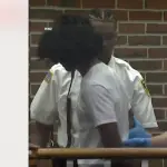 Adolescente acusado de doble crimen  ,Captura de video