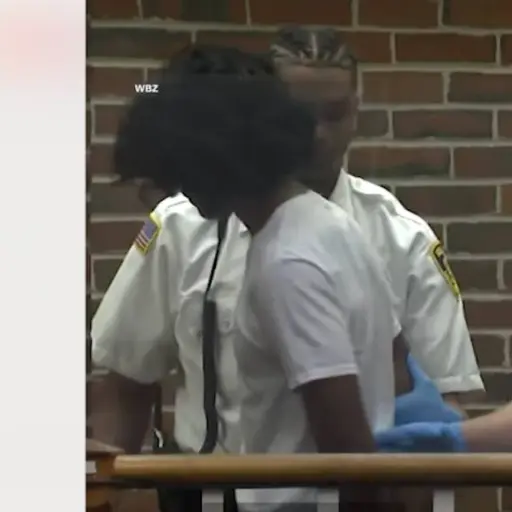Adolescente acusado de doble crimen  ,Captura de video