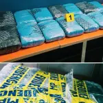 La droga decomisada era trasladada en una supuesta encomienda en Chimaltenango. ,PNC