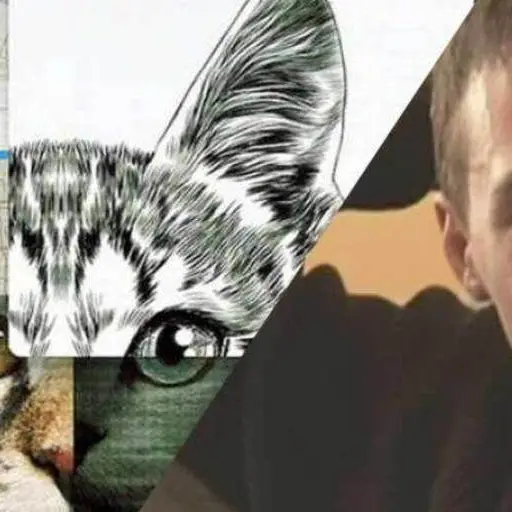 Luka Magnotta No te metas con los gatos ,Redes sociales