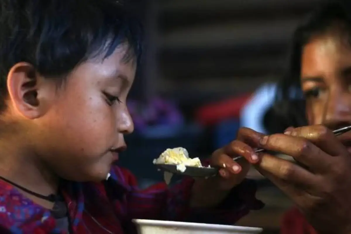 inseguridad alimentaria, alimentación, desnutrición, alimentos