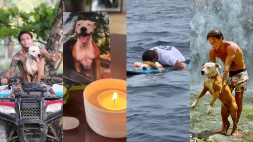 Costa Rica: La muerte del perro Thai conmueve al mundo 