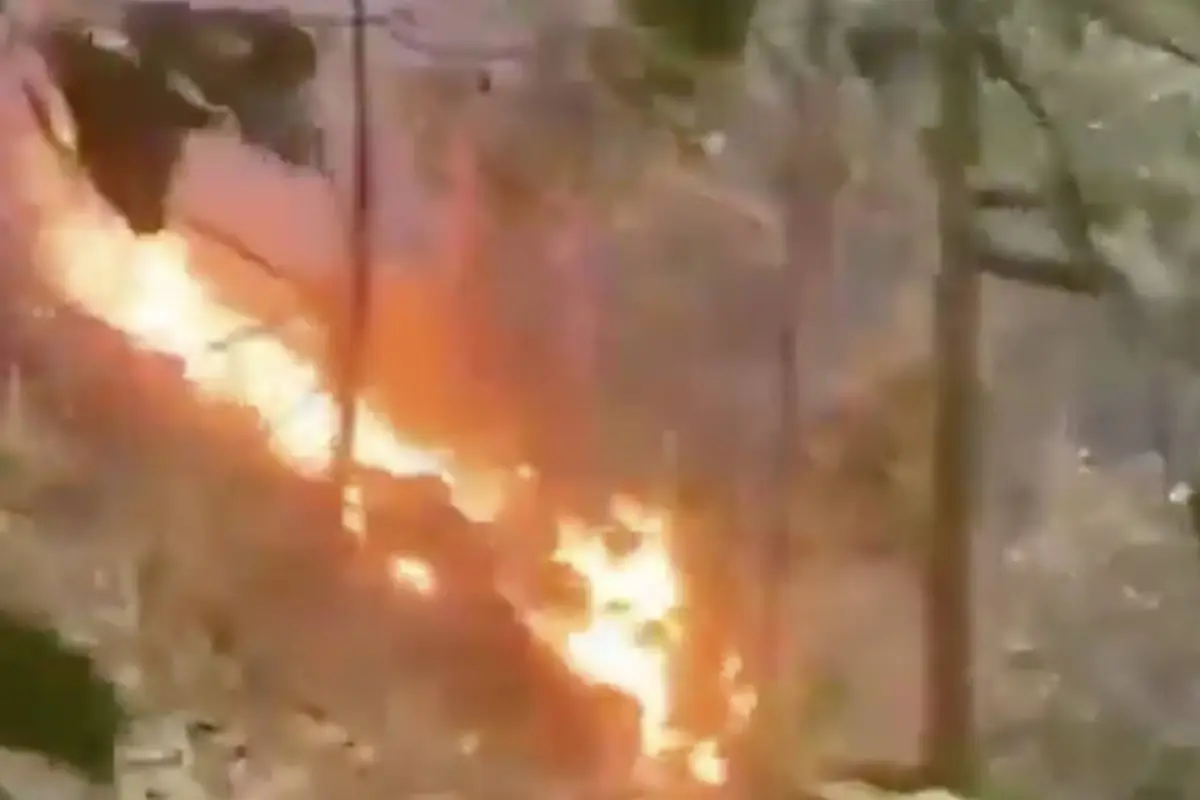 Iban a celebrar los 15 años de una adolescente y murieron en accidente de helicóptero., Captura de pantalla video de X.