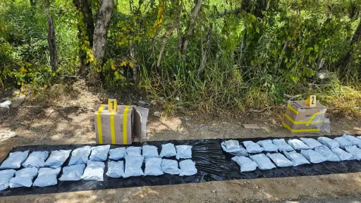Localizan posible marihuana dentro de autobús extraurbano