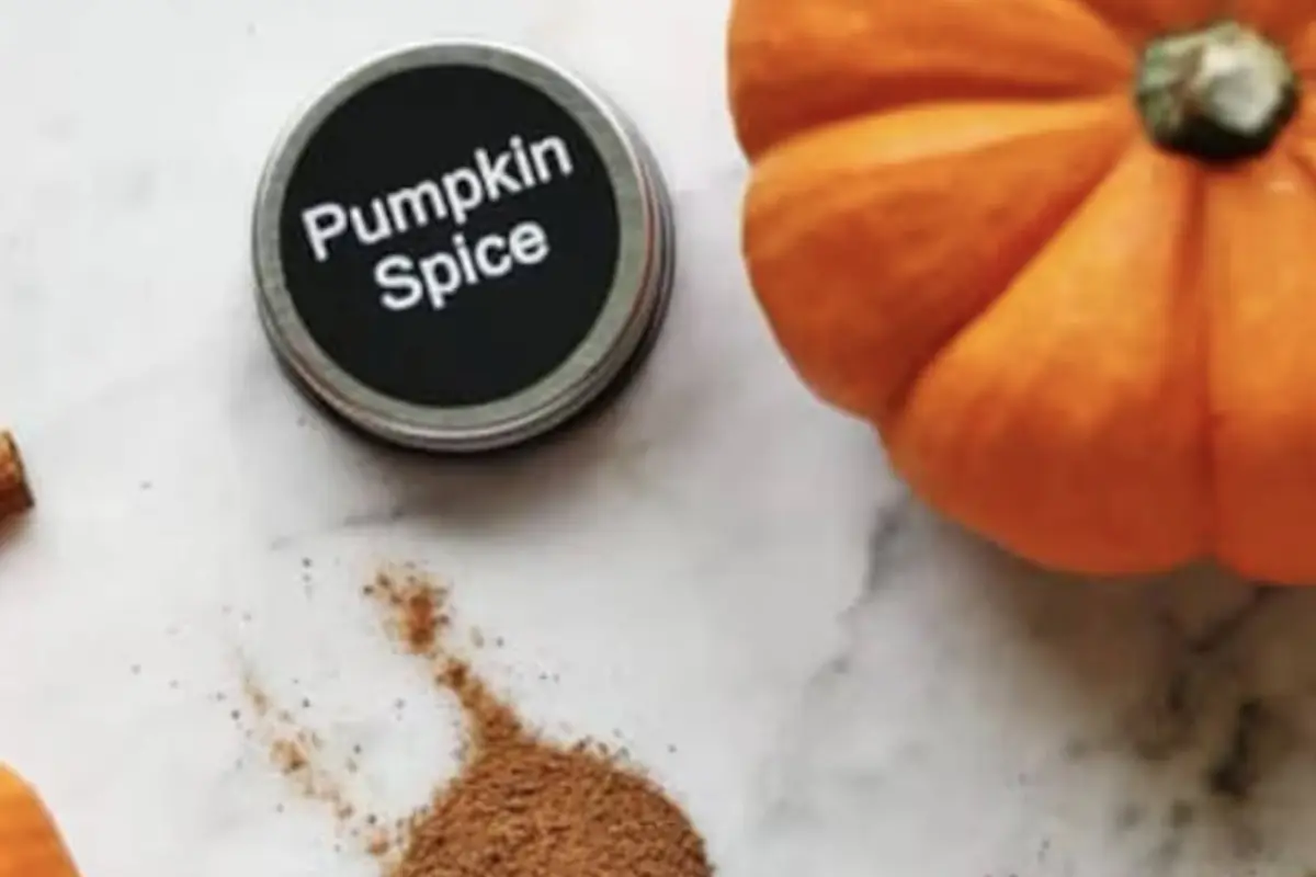 Pumpkin Spice, Pumpkin Spice