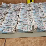 La fuerte suma fue localizada durante un operativo en la zona 7 capitalina. ,PNC
