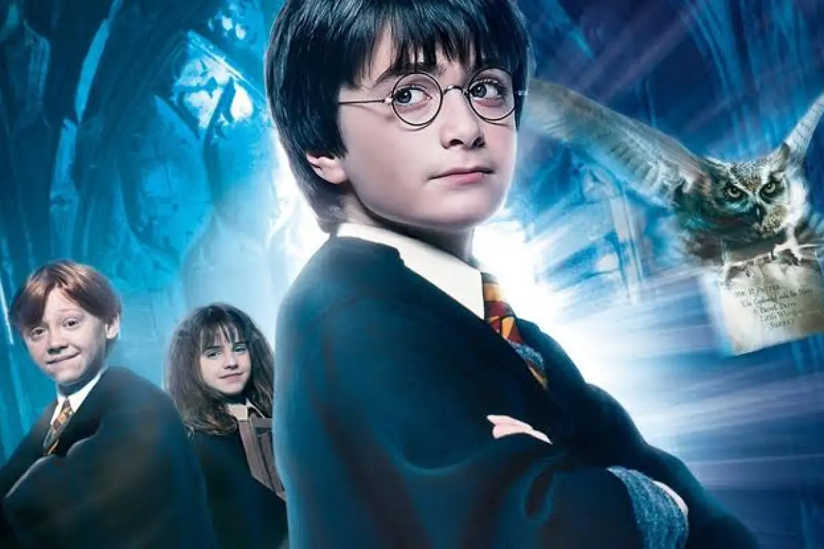 Harry Potter, Harry Potter