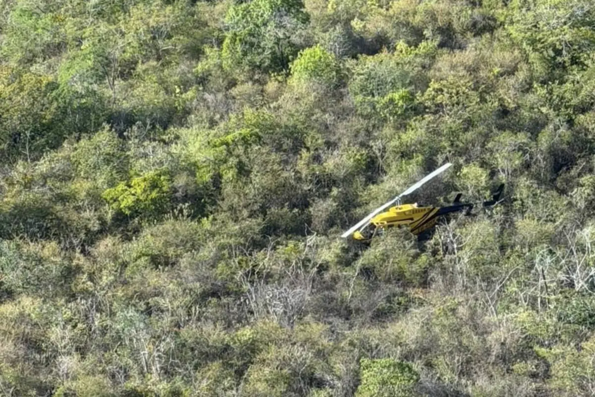 Piloto de helicóptero es rescatado tras aterrizaje de emergencia en el kilómetro 64 de la Ruta al Atlántico., DGAC