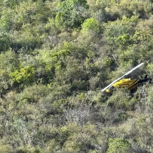 Piloto de helicóptero es rescatado tras aterrizaje de emergencia en el kilómetro 64 de la Ruta al Atlántico. ,DGAC