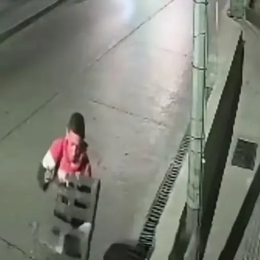 El robo de una rejilla de drenaje quedó captado en video. ,Captura de pantalla.