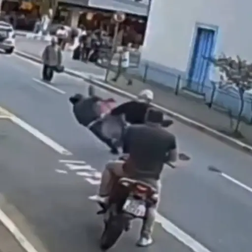 Asaltó una óptica y huyó corriendo, pero un peatón le puso el pie y frustró su escape. ,Captura de pantalla video de X.