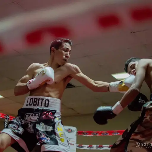 El boxeo mexicano se encuentra de luto tras el fallecimiento de Arturo Lobito Torres - instagram @arturotorres.box