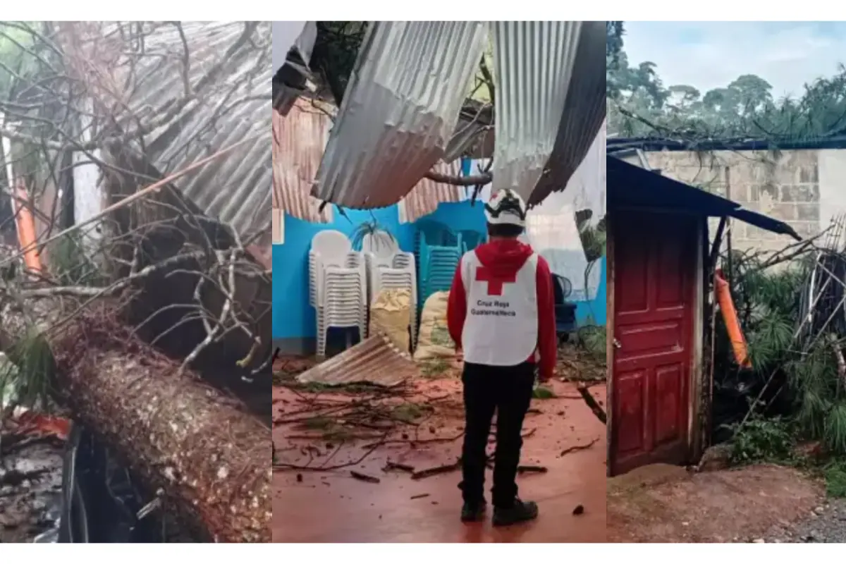 Árbol cae sobre iglesia y vivienda en Cobán,