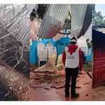 Árbol cae sobre iglesia y vivienda en Cobán ,