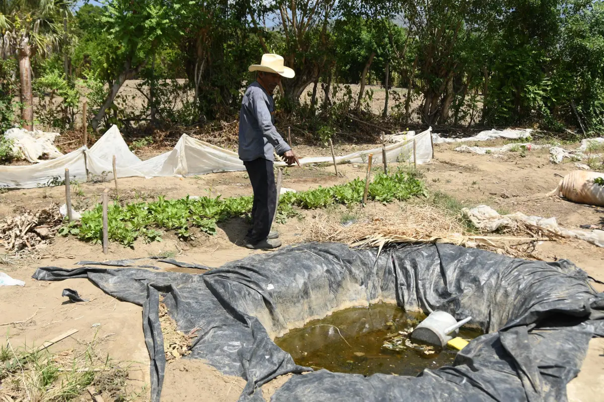 Jesús Rodríguez muestra un agujero artesanal recubierto con un platico negro, donde intentan almacenar la poca agua de lluvia que cae debido a la sequía en El Jícaro (Guatemala),  EFE/ Alex Cruz
