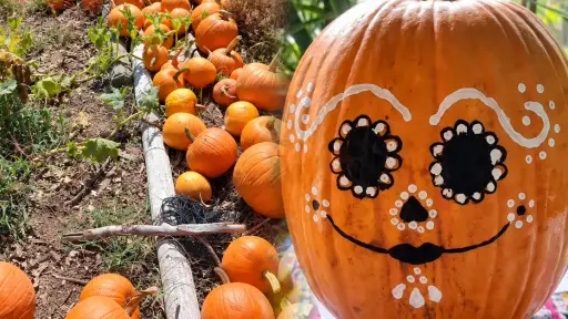 Antigua Guatemala se llena de calabazas: así será el festival con talleres y mercadito