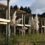 Promoción de viviendas en el concello coruñés de Miño ,Foto EFE
