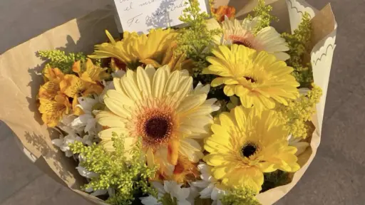 Flores amarillas: ¿21 de marzo o 21 de septiembre? Esta es la diferencia