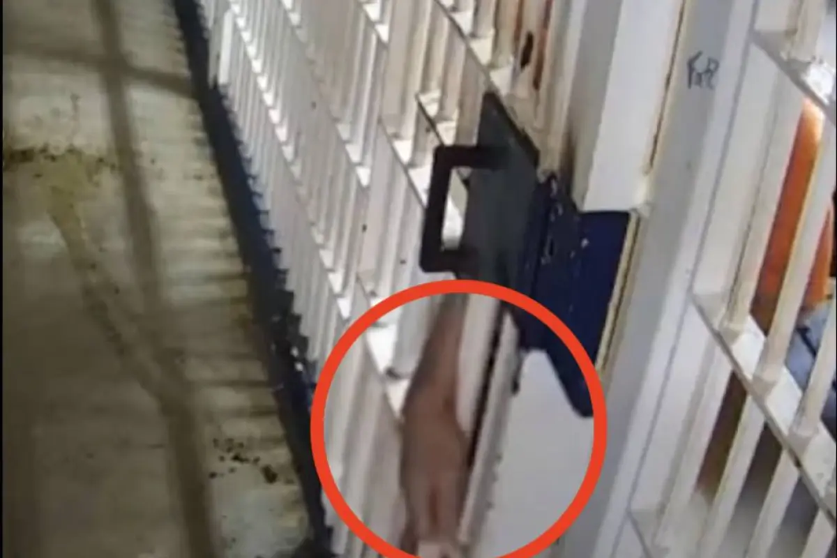 Charles Alexander Dieterich escapó de una cárcel en Carolina del Sur., Captura de pantalla video de Facebook.