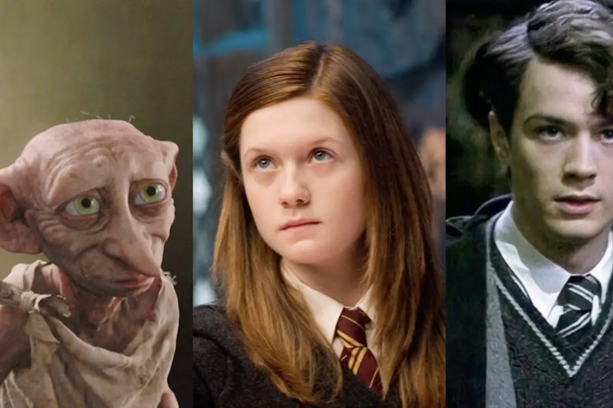 Harry Potter, Harry Potter
