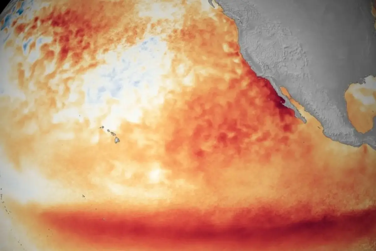OMM alerta por un El Niño que podría alcanzar intensidad muy fuerte., NOAA.