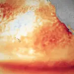 OMM alerta por un El Niño que podría alcanzar intensidad muy fuerte. ,NOAA.
