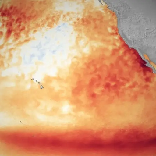 OMM alerta por un El Niño que podría alcanzar intensidad muy fuerte. ,NOAA.