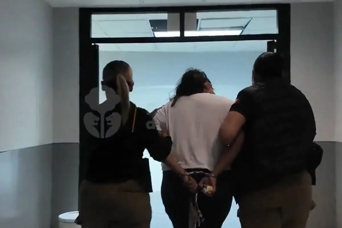 Mujer capturada por crueldad animal , Captura de video
