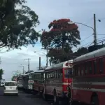 Transportistas usarán más de 100 buses para una caravana.  ,Archivo.