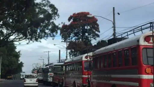 Transportistas usarán más de 100 buses para una caravana.  ,Archivo.