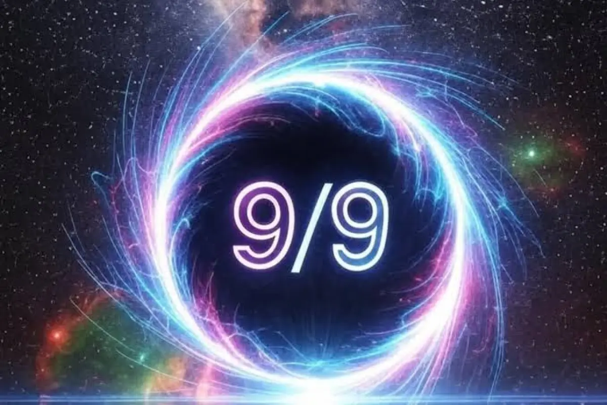 Portal, Portal