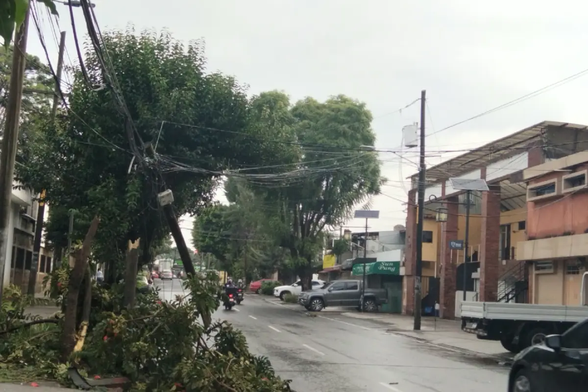 Un árbol y un poste fueron derribados en la 32 avenida y 2ª calle, zona 7 capitalina., PMT capitalina/Montejo