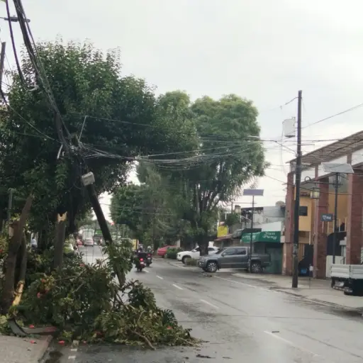 Un árbol y un poste fueron derribados en la 32 avenida y 2ª calle, zona 7 capitalina. ,PMT capitalina/Montejo