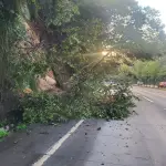 Derrumbe obstruye un carril en la ruta Interamericanat