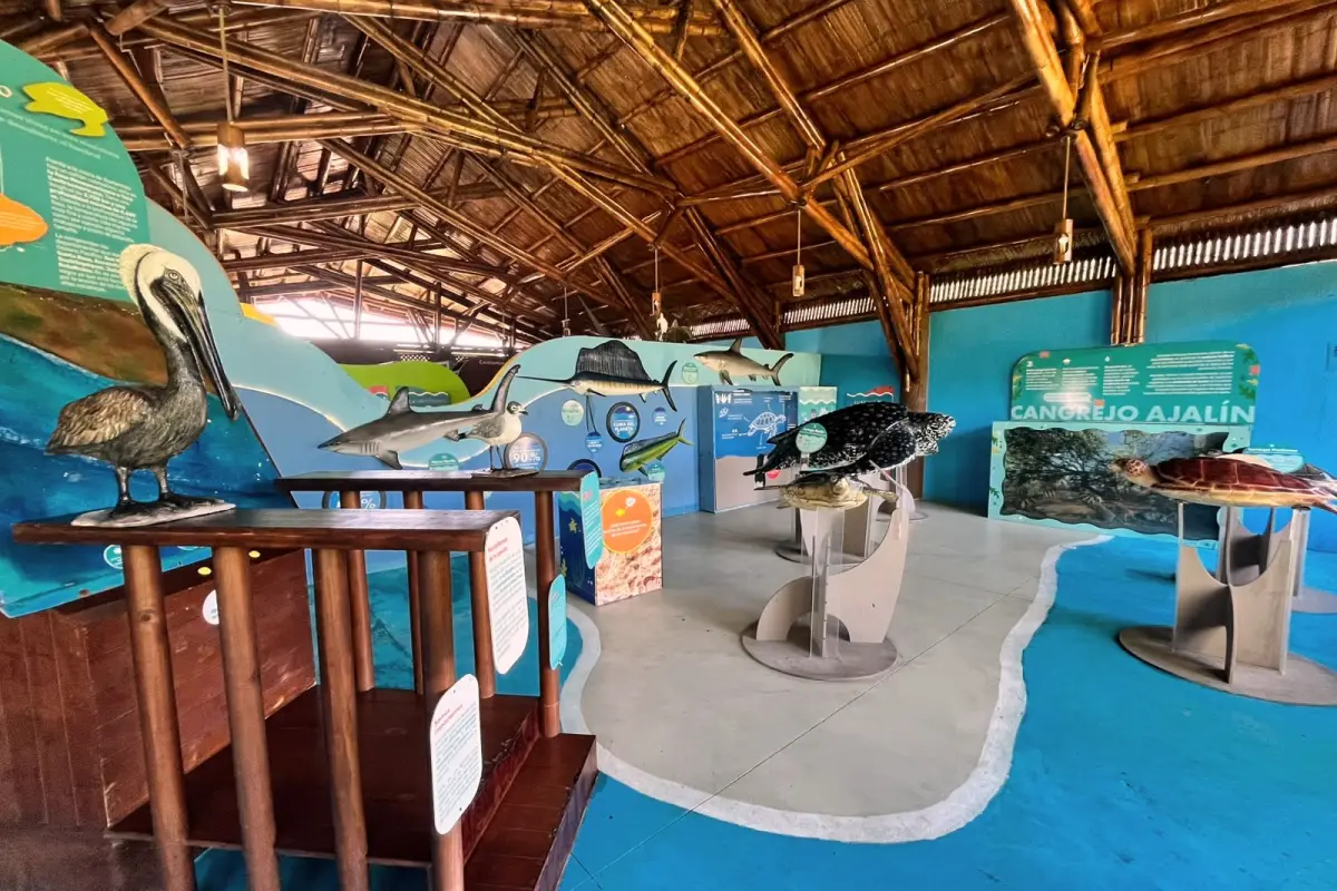Centro de Conservación Marina, Foto Sandy Sandoval