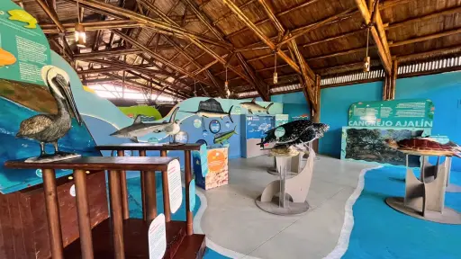 El Museo del Mar que puedes visitar durante tu próximo viaje a Monterrico