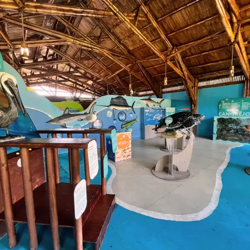 Centro de Conservación Marina ,Foto Sandy Sandoval
