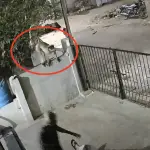 Cámara capta ataque de un mono contra una mujer de 91 años en India. ,Captura de pantalla video de Facebook.