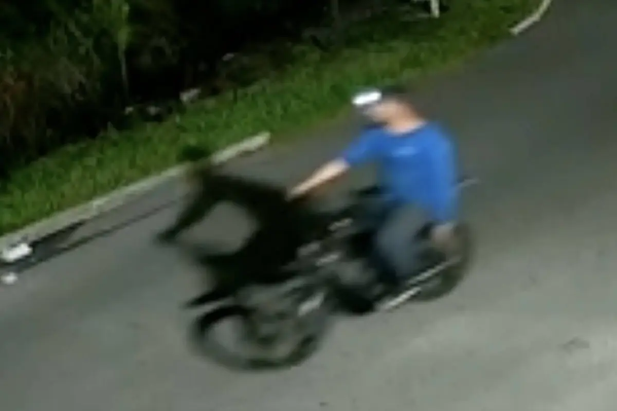 Autoridades buscan a un presunto asesino serial de gatos., Captura de pantalla video de X.