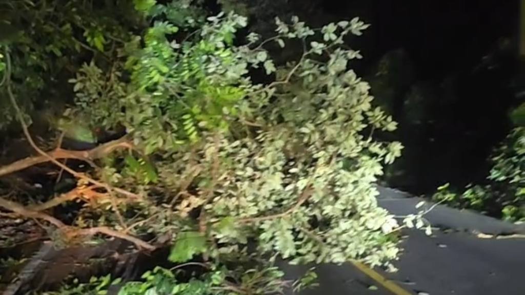 Piden llamar al 119 en caso de más emergencias por las lluvias | Conred