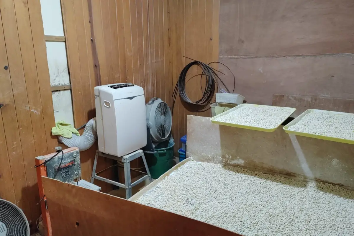 En allanamientos realizados por la SGAIA y fiscales del MP en San José Pinula se localizó un narcolaboratorio., Foto PNC