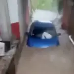 Fuerte corriente arrastra automóvil con madre y niña en su interior en México. ,Captura de pantalla video de X.
