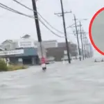 Tiburón sorprende al nadar por calles inundadas de Nueva Jersey. ,X/@CBSNews