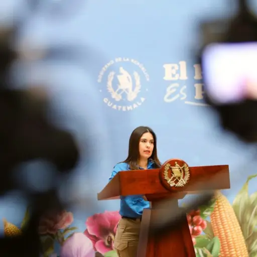 La exviceministra de Gobernación, Claudia Palencia. ,Gobierno de Guatemala