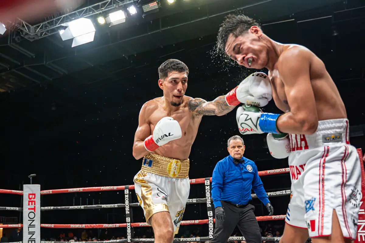 Joshua Antón defiende su corona con una contundente victoria - ProBox TV