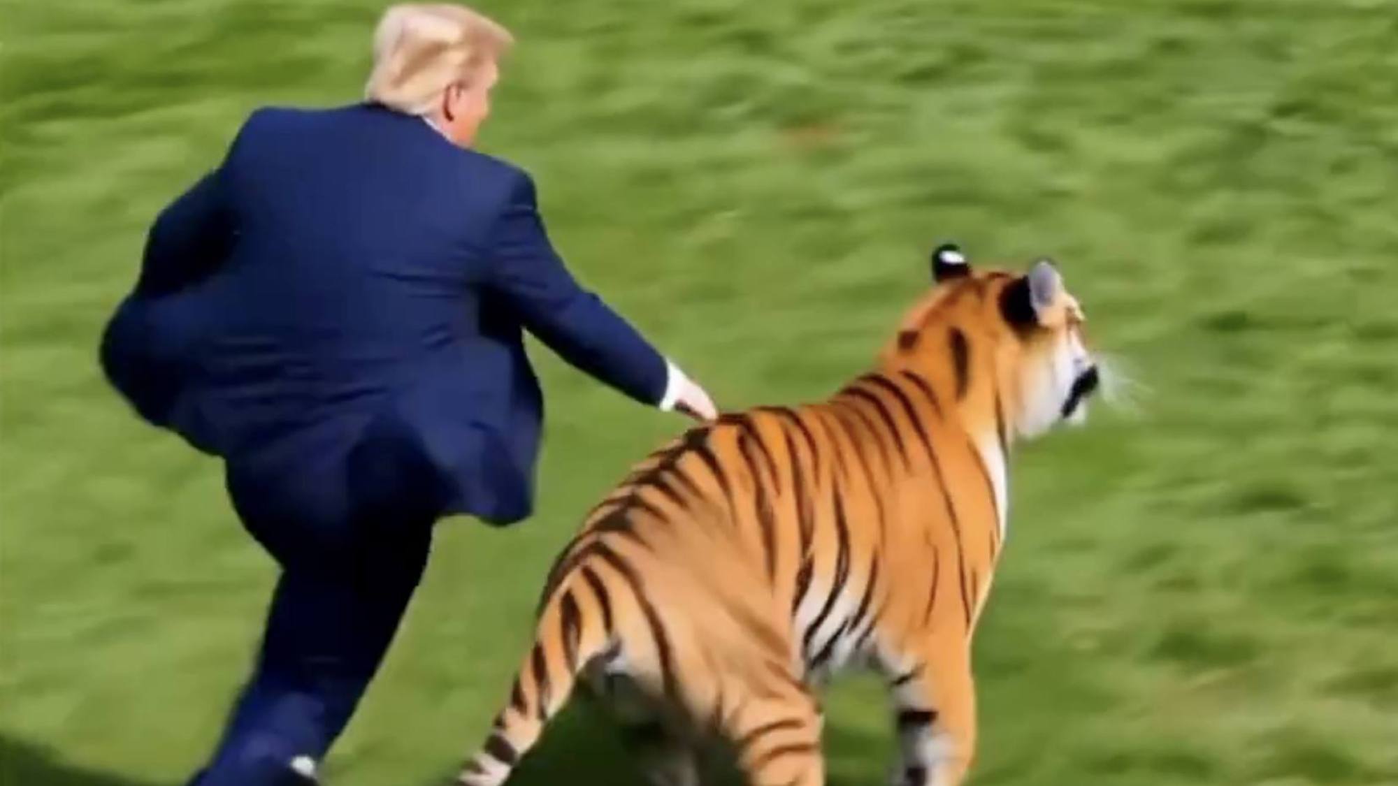 Trump publica video del ataque mortal de un tigre y uno hecho con IA; familia pide no difundirlo