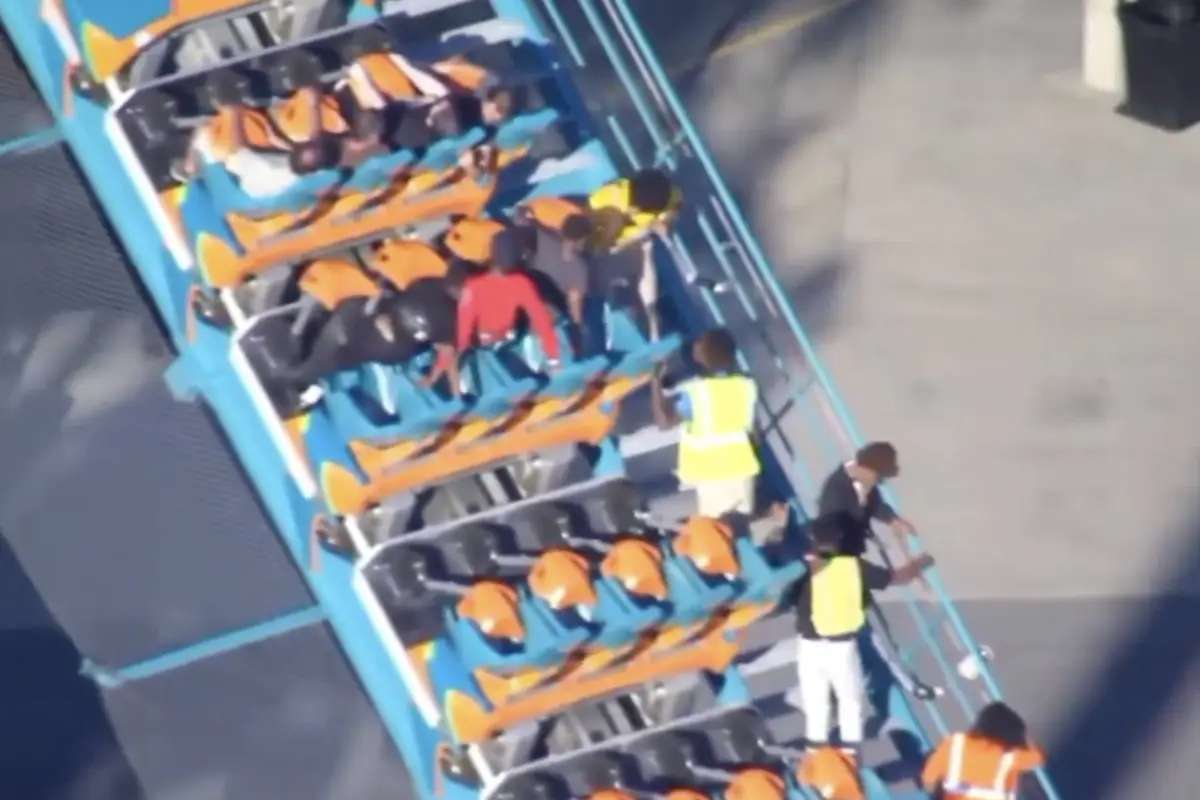 Hassan Jihad Ibn Kariem: lo que se sabe del hombre que murió en Six Flags., Captura de pantalla video de X.