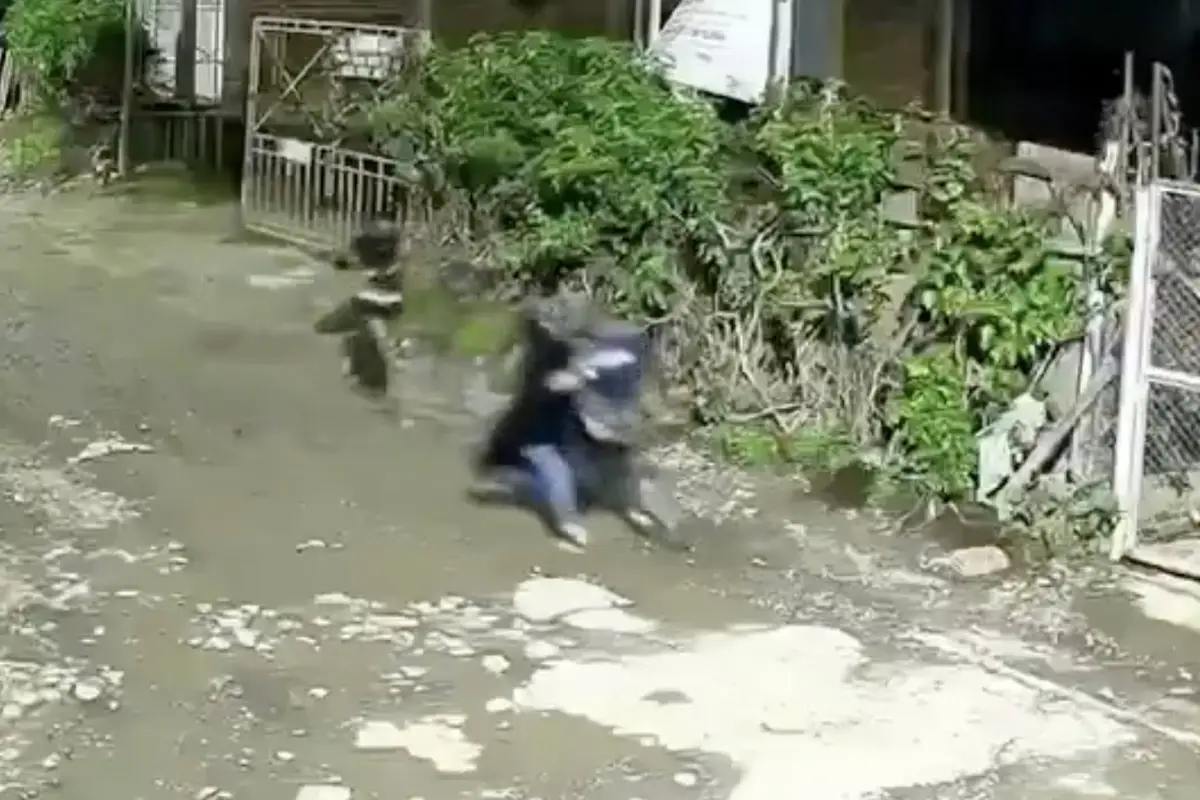Cámara de seguridad captó violento asalto a un adulto mayor que murió tras ser atacado a machetazos en Colombia., Captura de pantalla video de X.