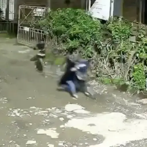 Cámara de seguridad captó violento asalto a un adulto mayor que murió tras ser atacado a machetazos en Colombia. ,Captura de pantalla video de X.